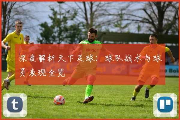 深度解析天下足球：球队战术与球员表现全览