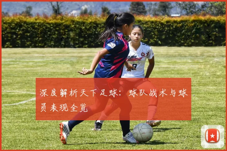 深度解析天下足球：球队战术与球员表现全览